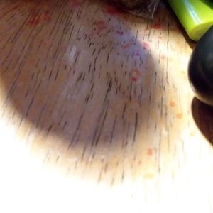 Meet your Posher, Leonardo